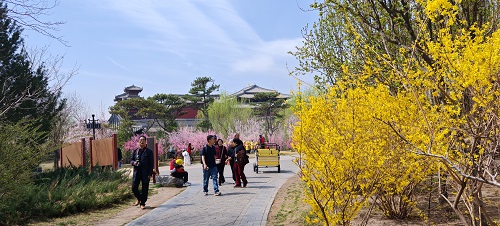 02.jpg