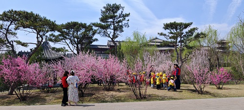 03.jpg