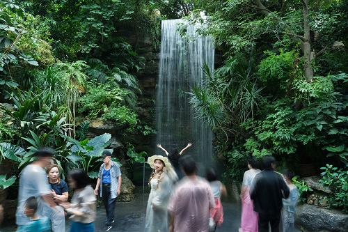 04.jpg