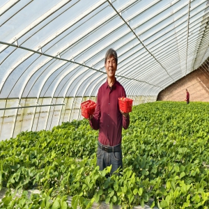 太原晋源区：科技向新迎来“莓”好“丰”景