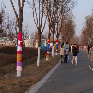 太原植物园树木暖意“换装”